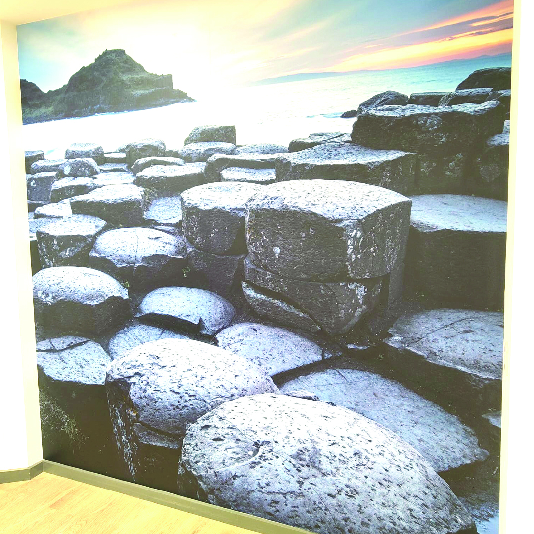 Feature wall print of the Giant's Causeway, Northern Ireland.